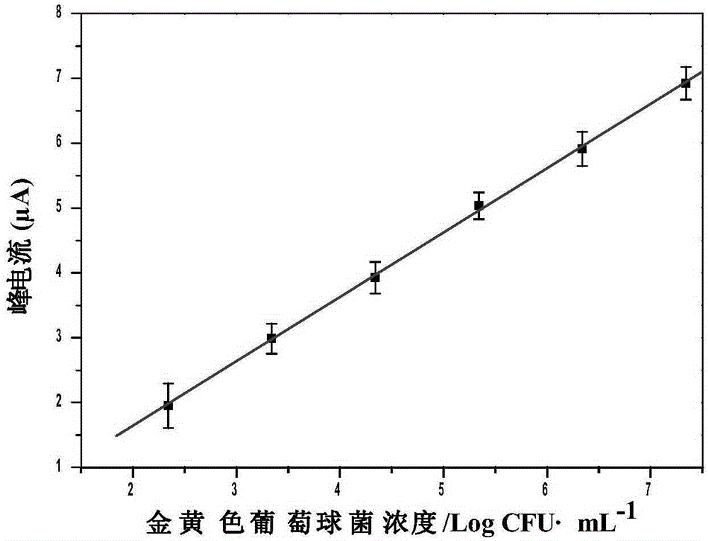 Method for preparing quick magnetic separation electrochemistry immunosensor and method for detecting staphylococcus aureus