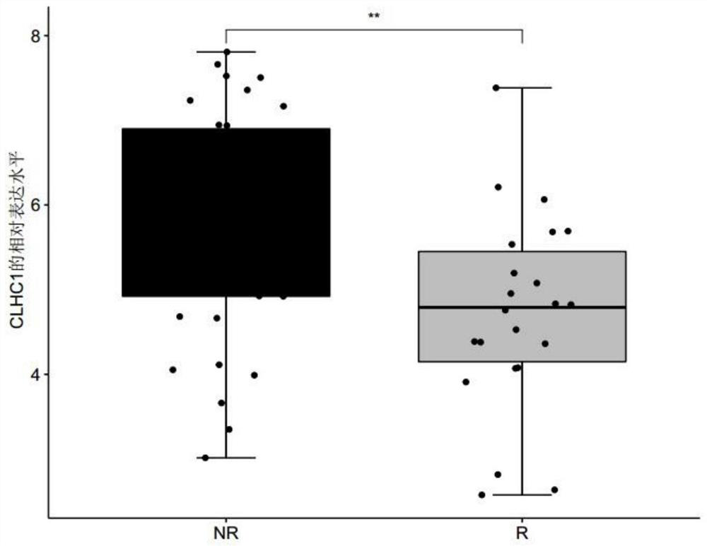 Biomarker for predicting tumor drug sensitivity and related product thereof