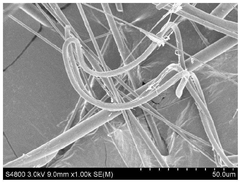 Modification method for enhancing strength of white mud fiber