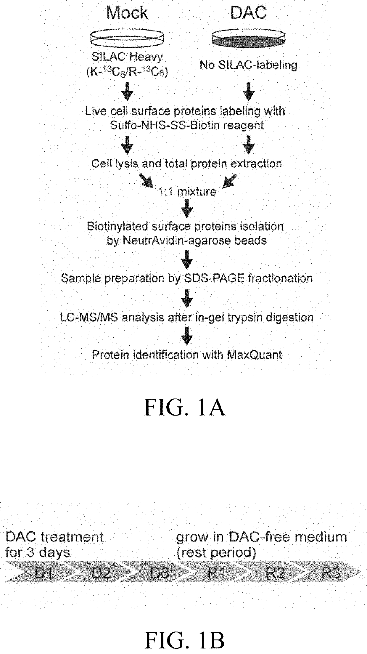 Method for treating cancer