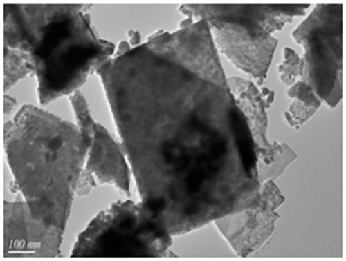 A kind of electrochemical preparation method of nano-flaky bismuth fluoride thin film and its application