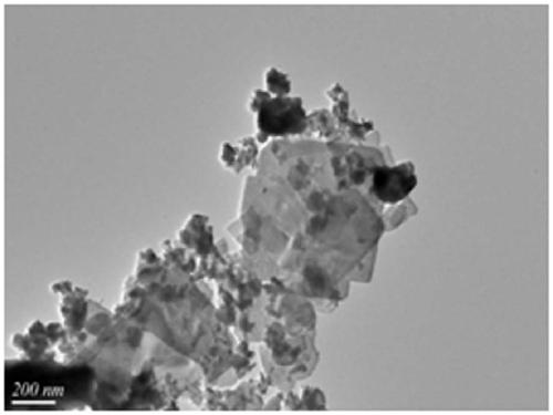 A kind of electrochemical preparation method of nano-flaky bismuth fluoride thin film and its application