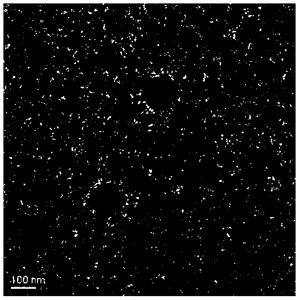 Active targeted gene delivery nanoparticle, and preparation method and application thereof