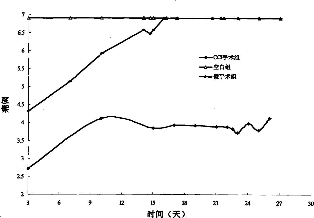 Application of 2-fluroin-beta-D-glycoside in treating neuropathic pain