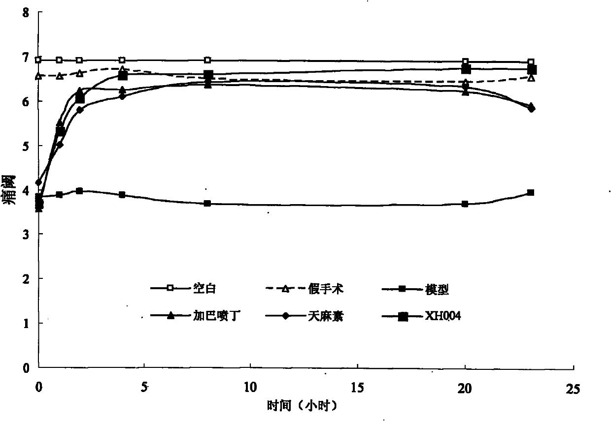 Application of 2-fluroin-beta-D-glycoside in treating neuropathic pain