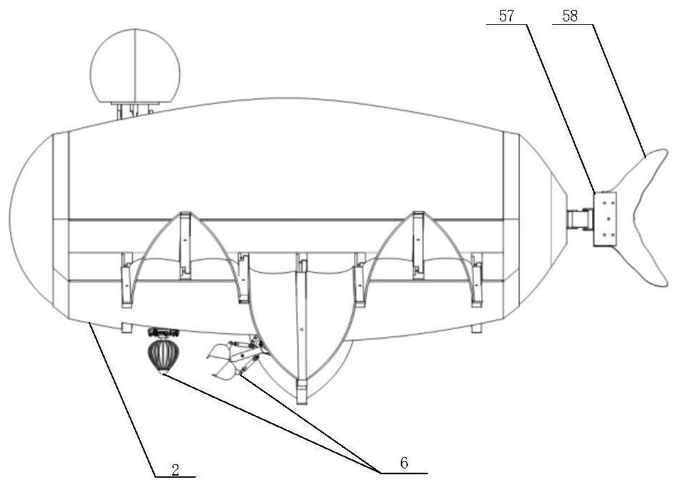 Amphibious bionic robot