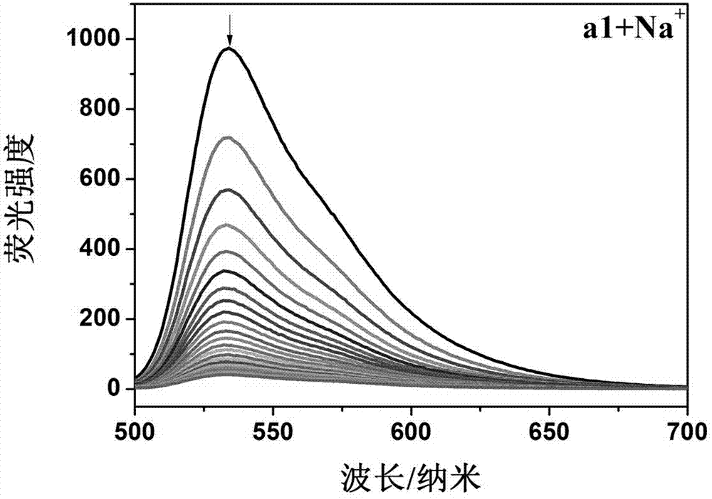 Ruthenium polypyridine complex and preparation method and application of [Ru(L)2(tppp)]&lt;2+&gt; thereof