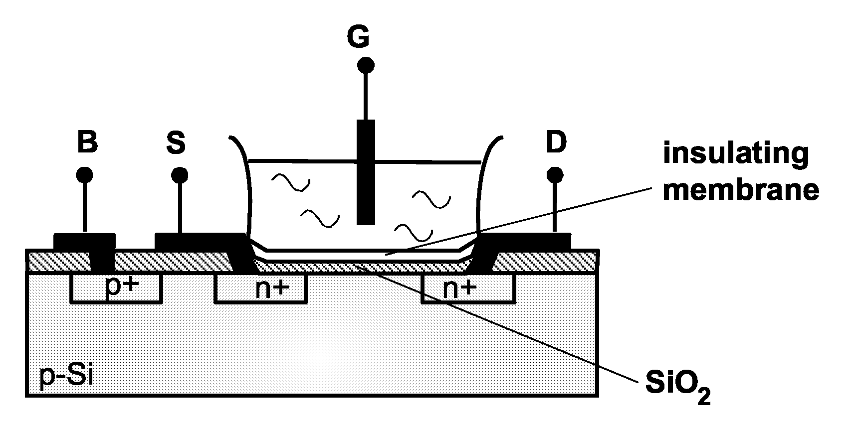 Signal Processing Circuit Comprising Ion Sensitive Field Effect Transistor and Method of Monitoring a Property of a Fluid