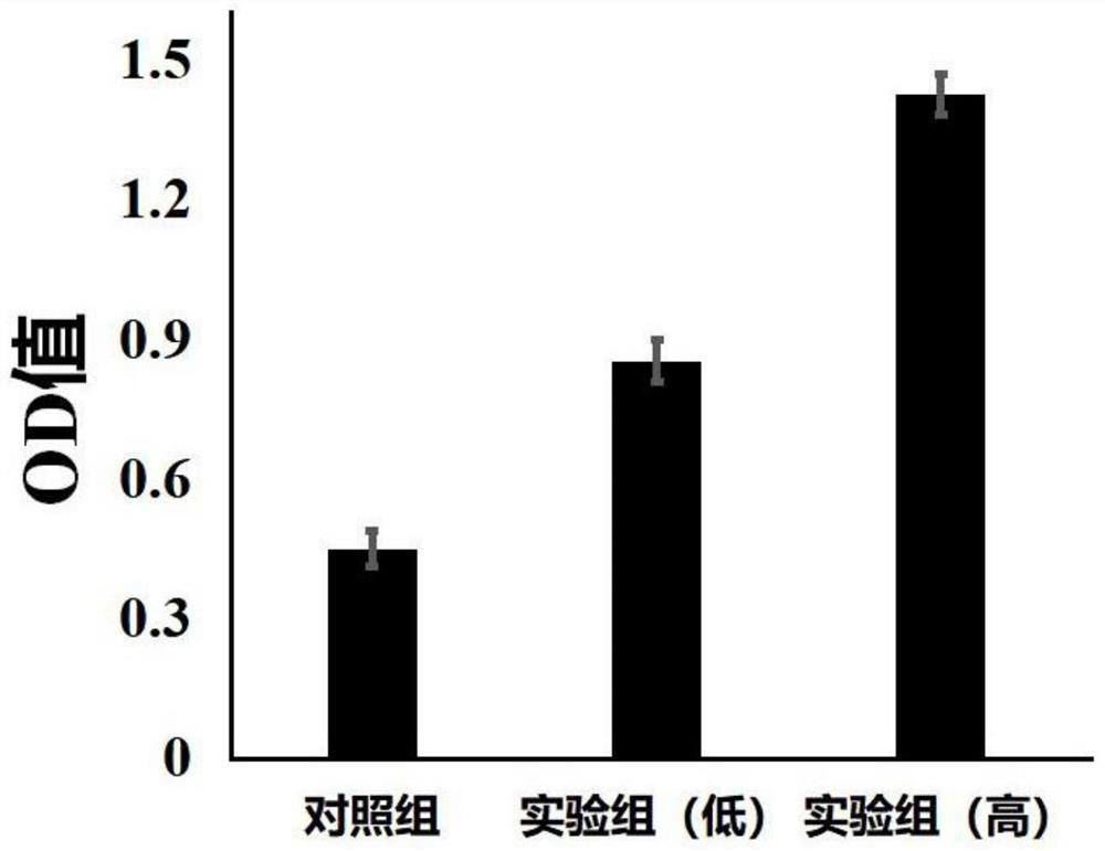 Application of glucoside in promoting in-vitro proliferation of bone marrow mesenchymal stem cells