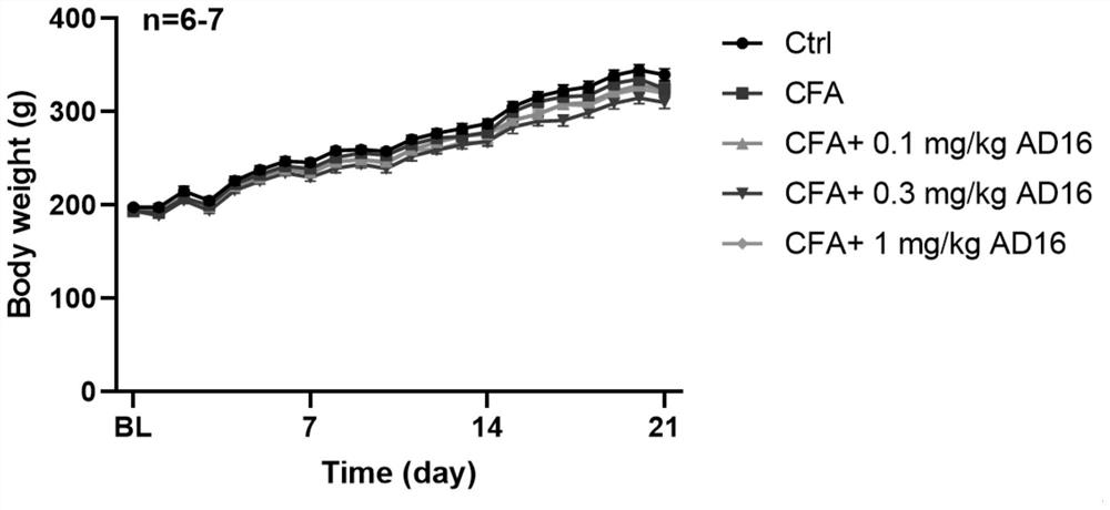 Application of AD16 in preparation of medicine for relieving chronic inflammatory pain