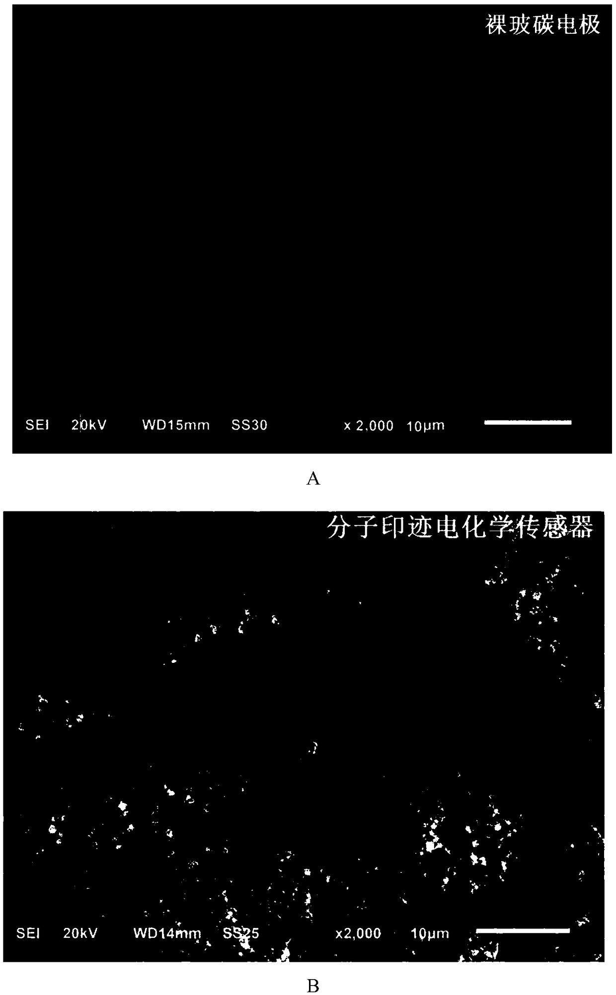 Molecular imprinting electrochemical sensor for selectively identifying chloramphenicol and fabrication method of molecular imprinting electrochemical sensor