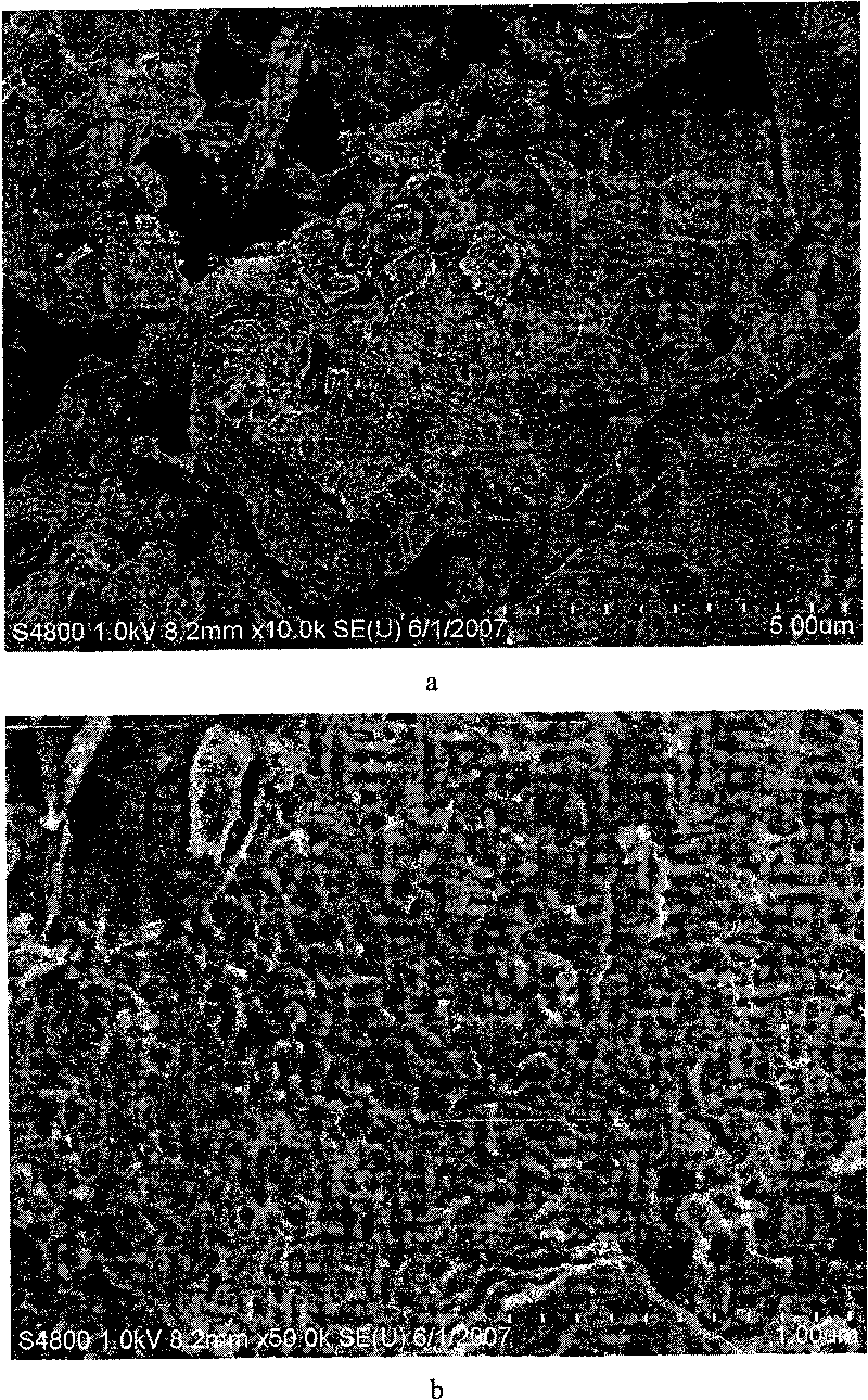 Method for extracting black carbon absorption material using plant ash as raw material