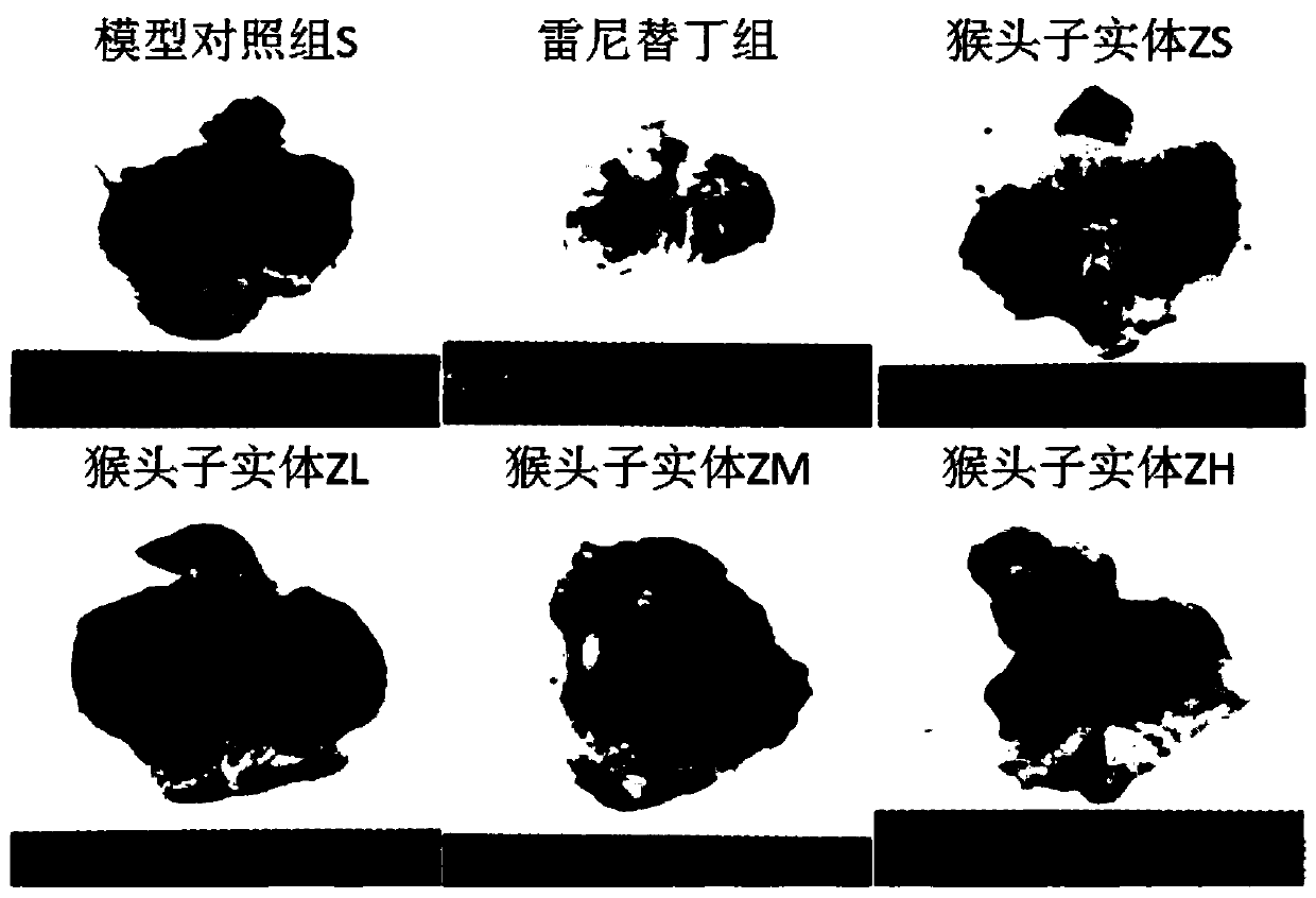 Hericium erinaceus tableting candy, and preparation method and application thereof