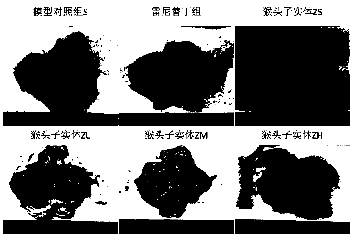 Hericium erinaceus tableting candy, and preparation method and application thereof