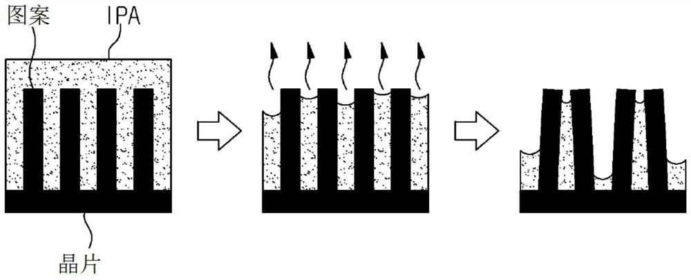 Substrate drying device