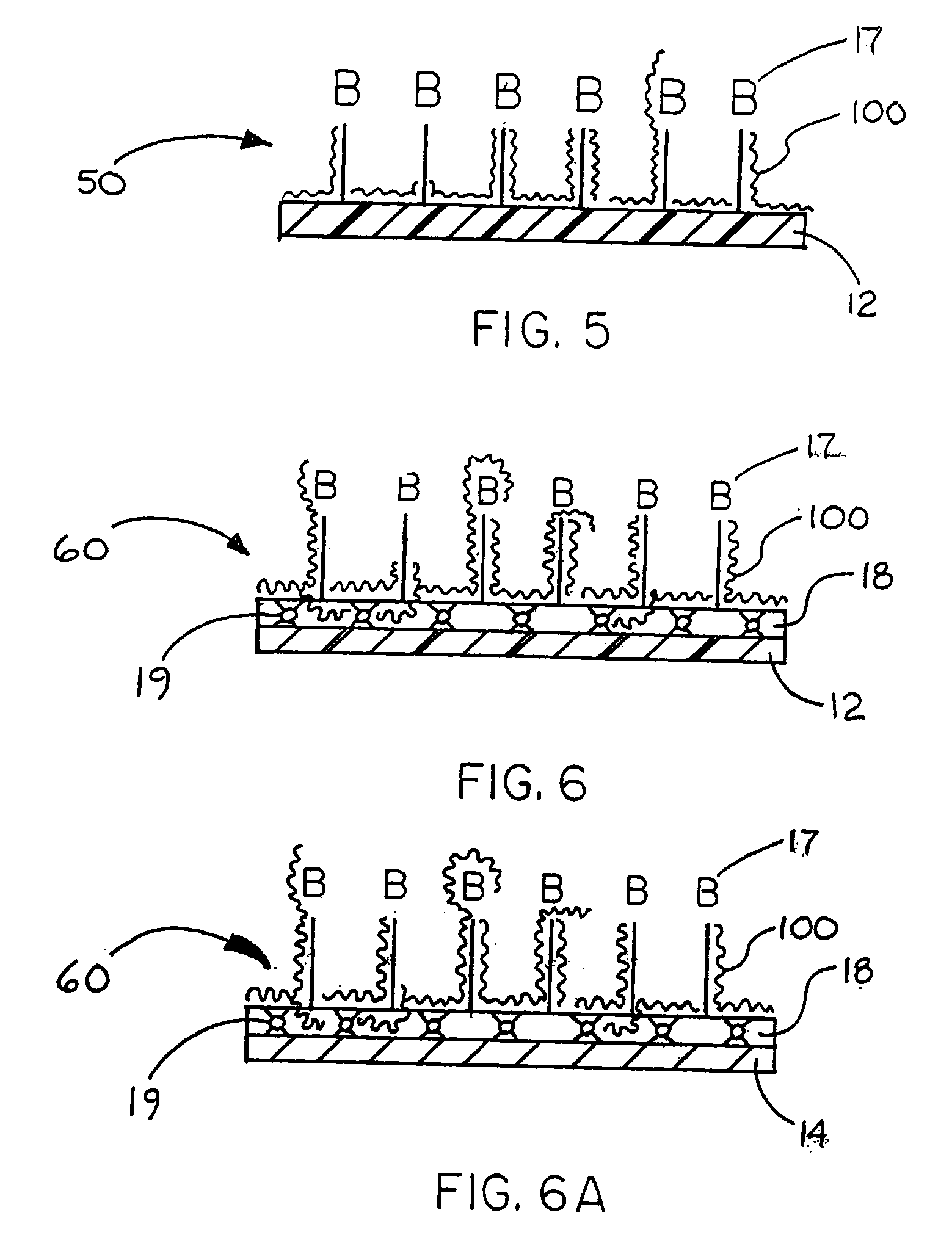 Immobilized Biologically Active Entities Having a High Degree of Biological Activity