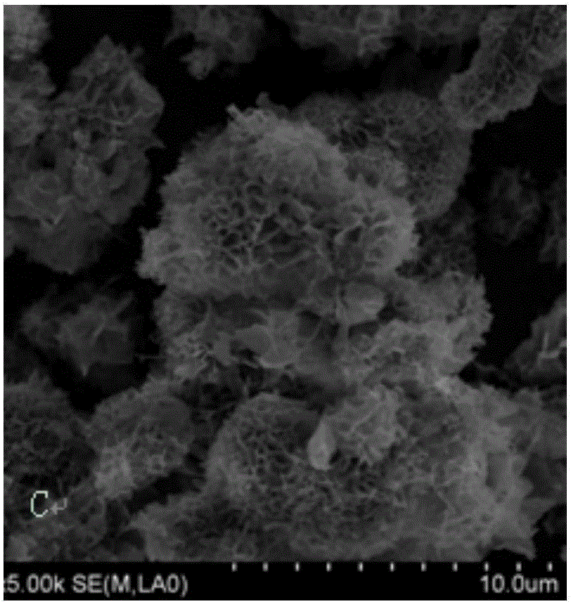 Double-enzyme co-immobilizing method and immobilized enzyme prepared through method