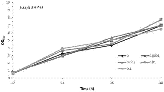 Construction method of biosensor capable of dynamically promoting high yield of 3HP (3-hydroxypropionic acid)