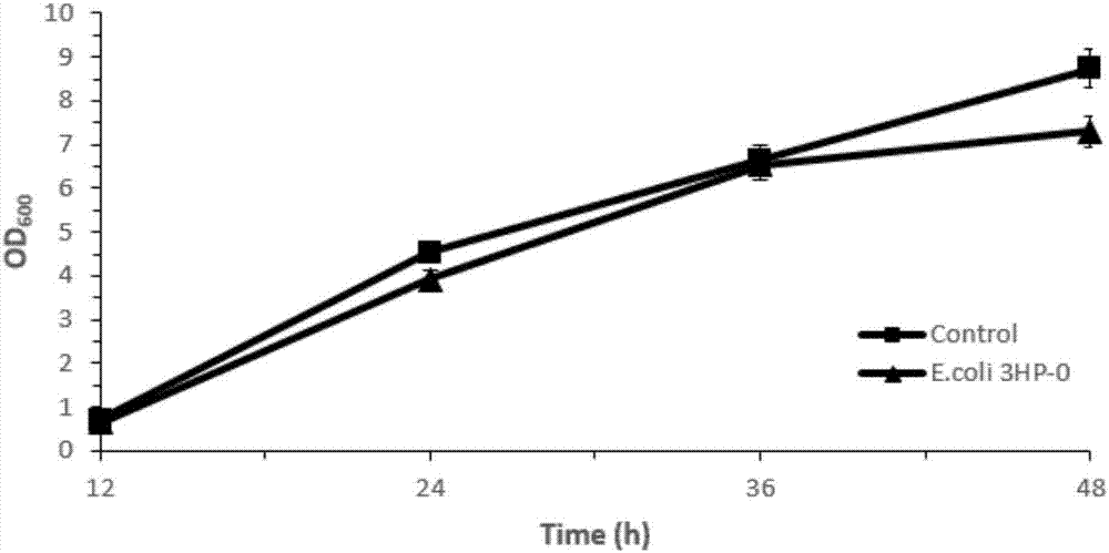 Construction method of biosensor capable of dynamically promoting high yield of 3HP (3-hydroxypropionic acid)