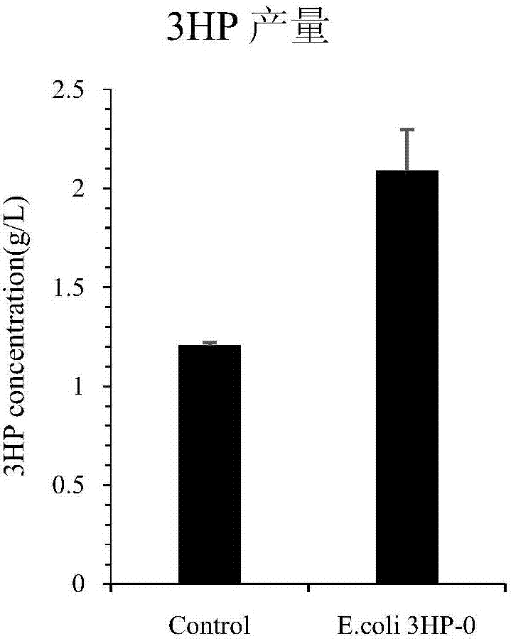 Construction method of biosensor capable of dynamically promoting high yield of 3HP (3-hydroxypropionic acid)