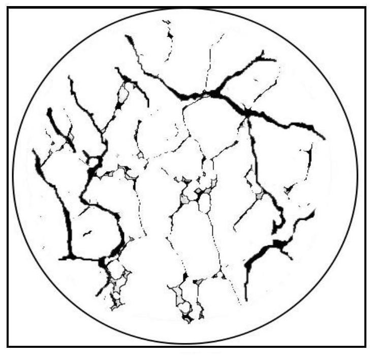 Rock fracturing fracture network topological structure depicting system