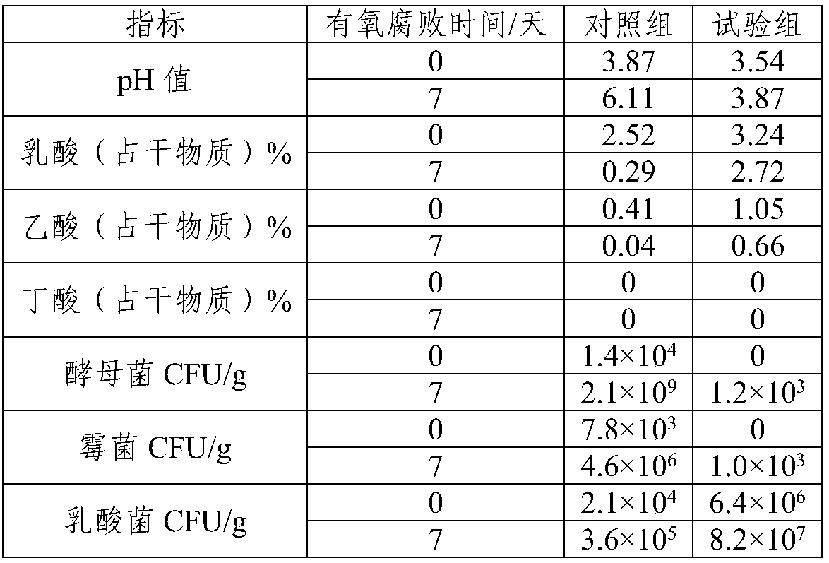 Feed silage agent containing Lactobacillus buchneri, preparation method and applications thereof