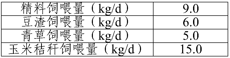 Feed silage agent containing Lactobacillus buchneri, preparation method and applications thereof