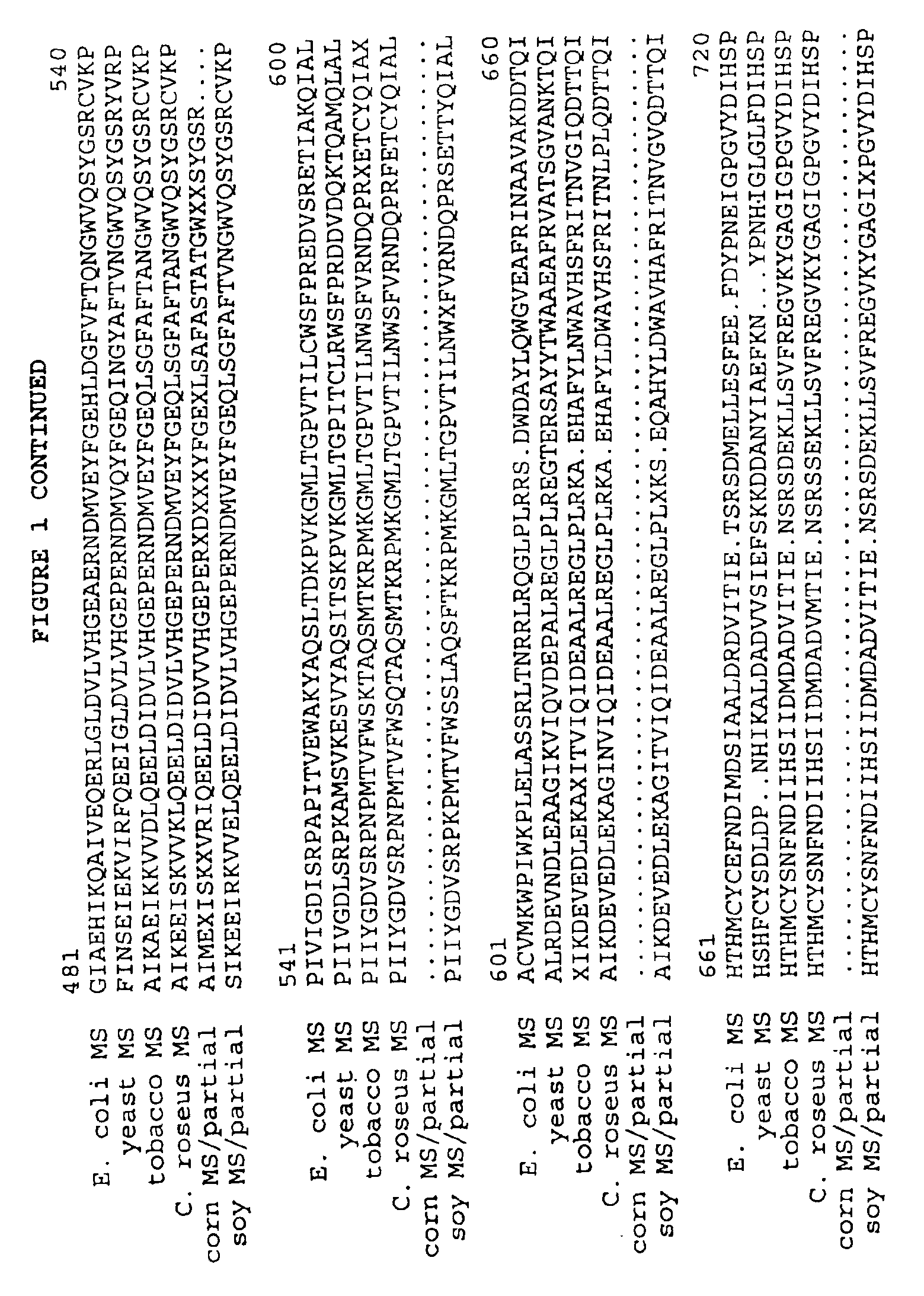 Plant methionine synthase gene and methods for increasing the methionine content of the seeds of plants