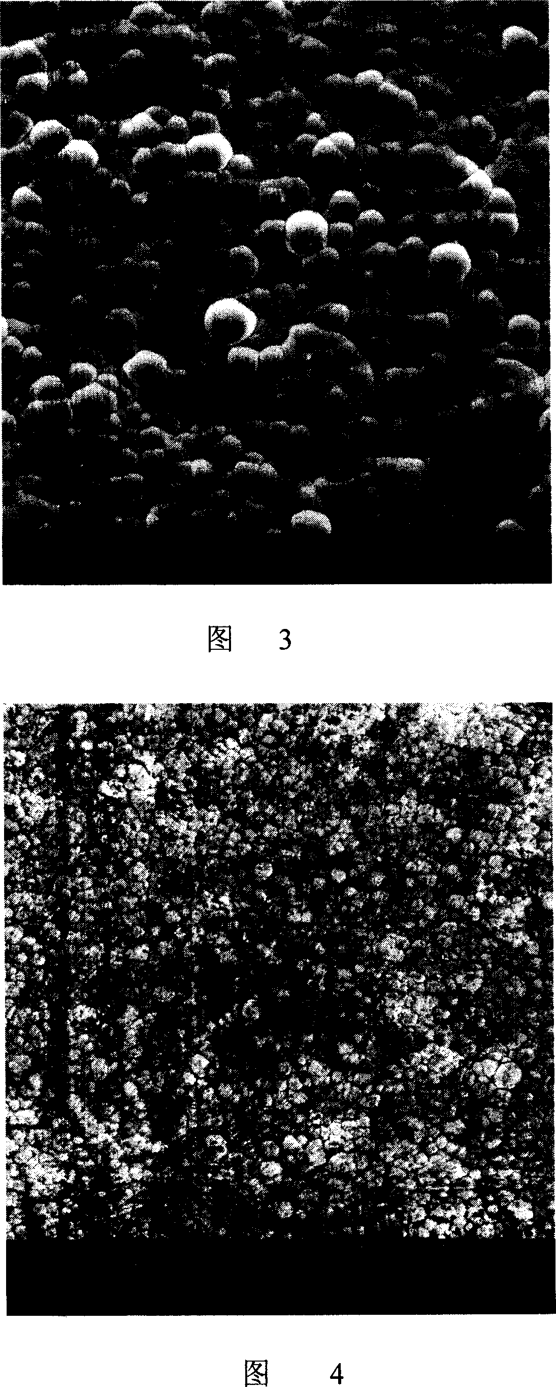 Chemical nickel plating front activating process for titanium and titanium alloy surface