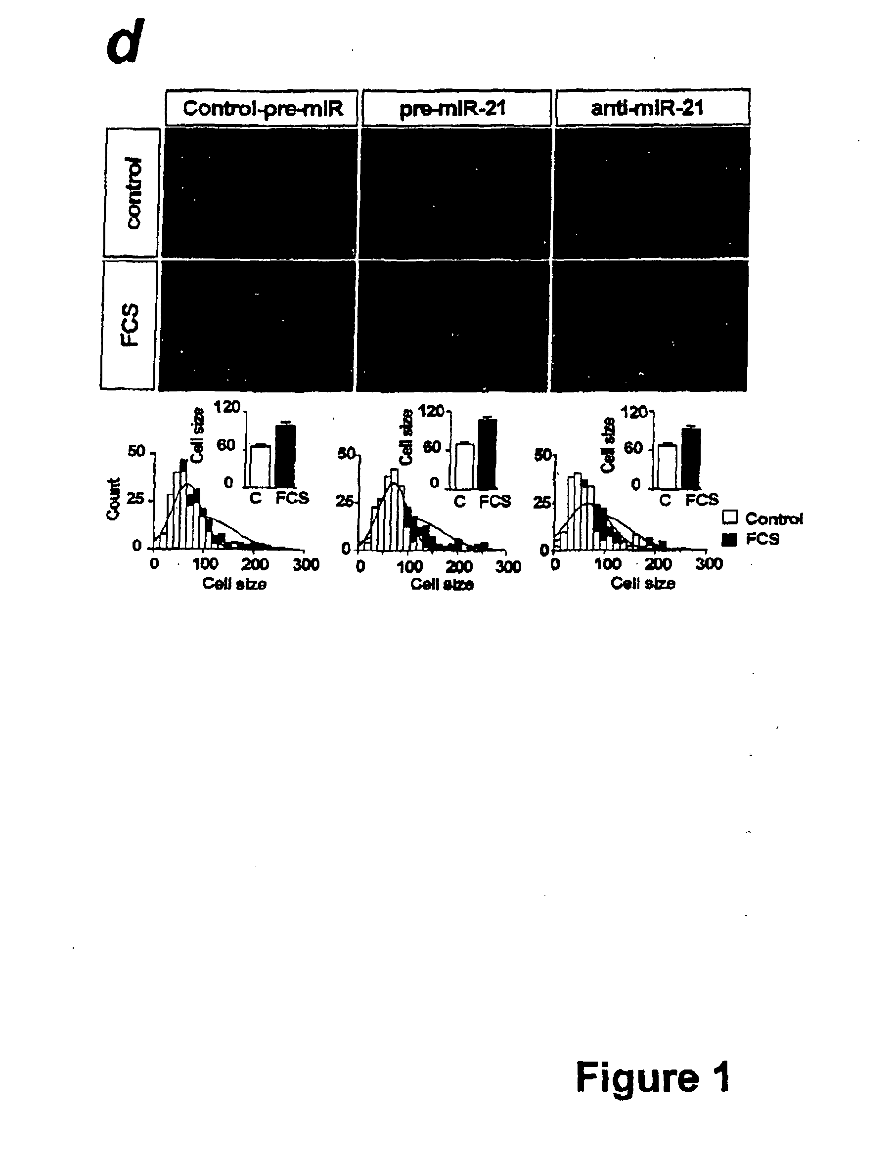 MICRORNA (miRNA) AND DOWNSTREAM TARGETS FOR DIAGNOSTIC AND THERAPEUTIC PURPOSES