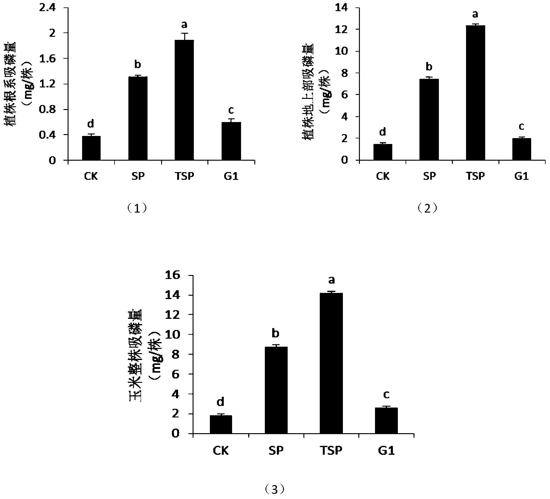 Synergistic calcium superphosphate and preparation method and application thereof