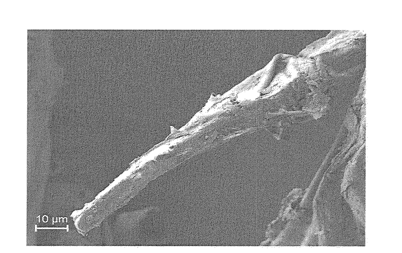 Process for Thermal-Mechanical Pretreatment of Biomass