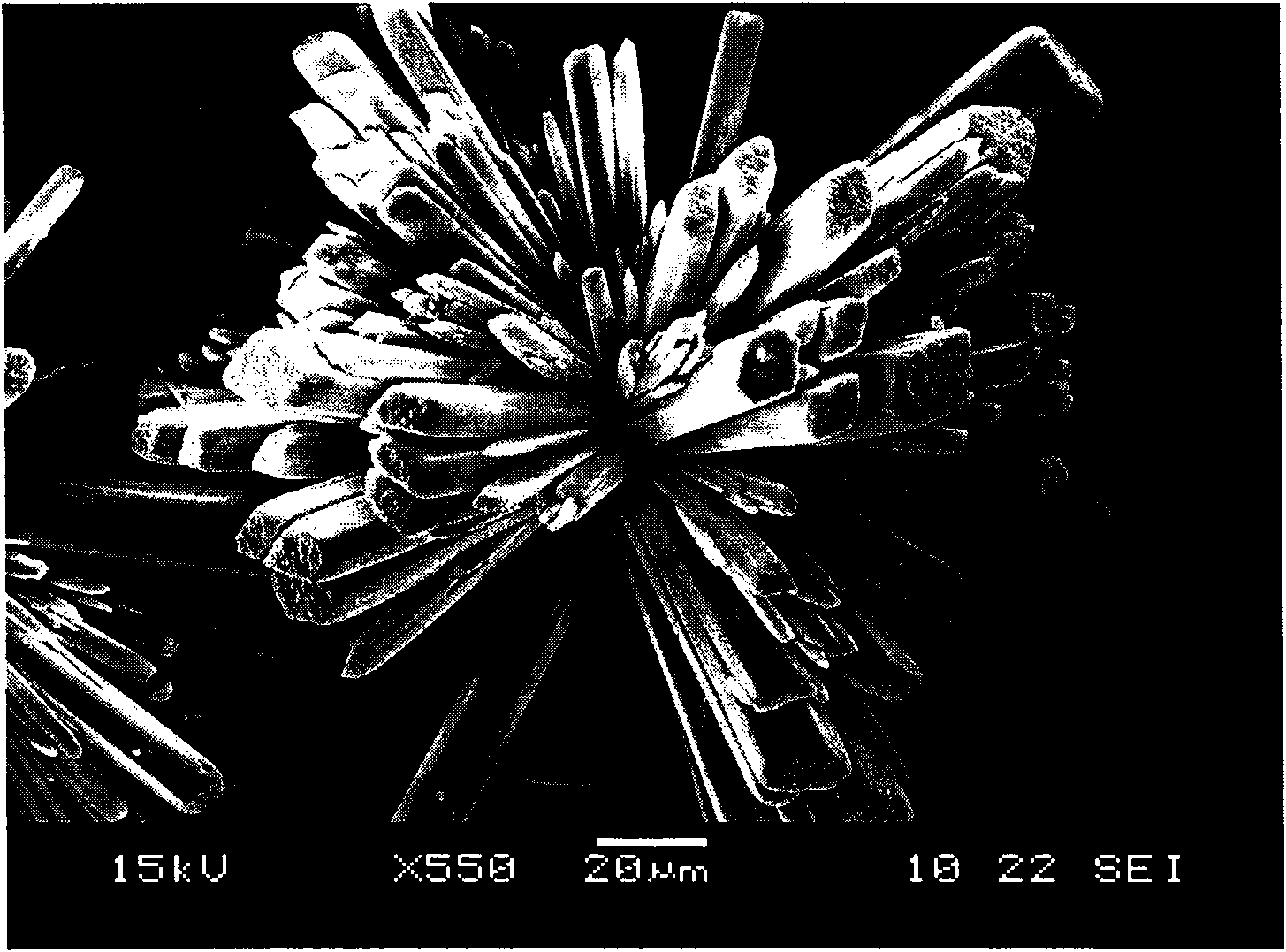 Spherical and radial magnesium carbonate and preparation method thereof