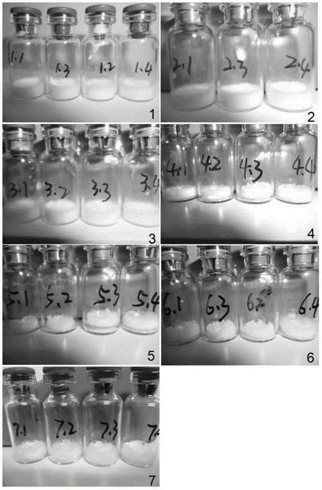 Multivalent meningococcus preparation box, vaccine preparation and preparation method thereof