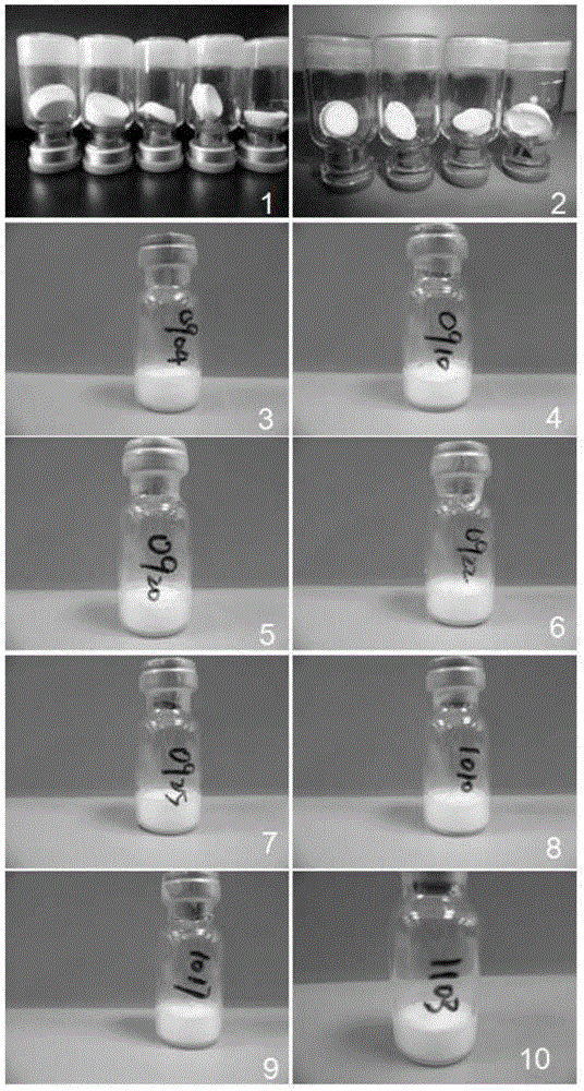 Multivalent meningococcus preparation box, vaccine preparation and preparation method thereof