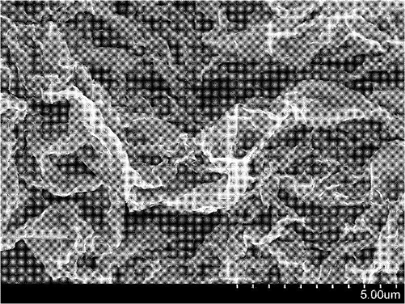 Conductive additive for lithium ion battery and preparation method thereof