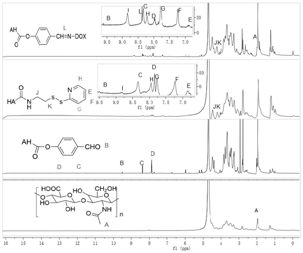 Preparation method and application of doxorubicin-methotrexate combined drug delivery nano-delivery system