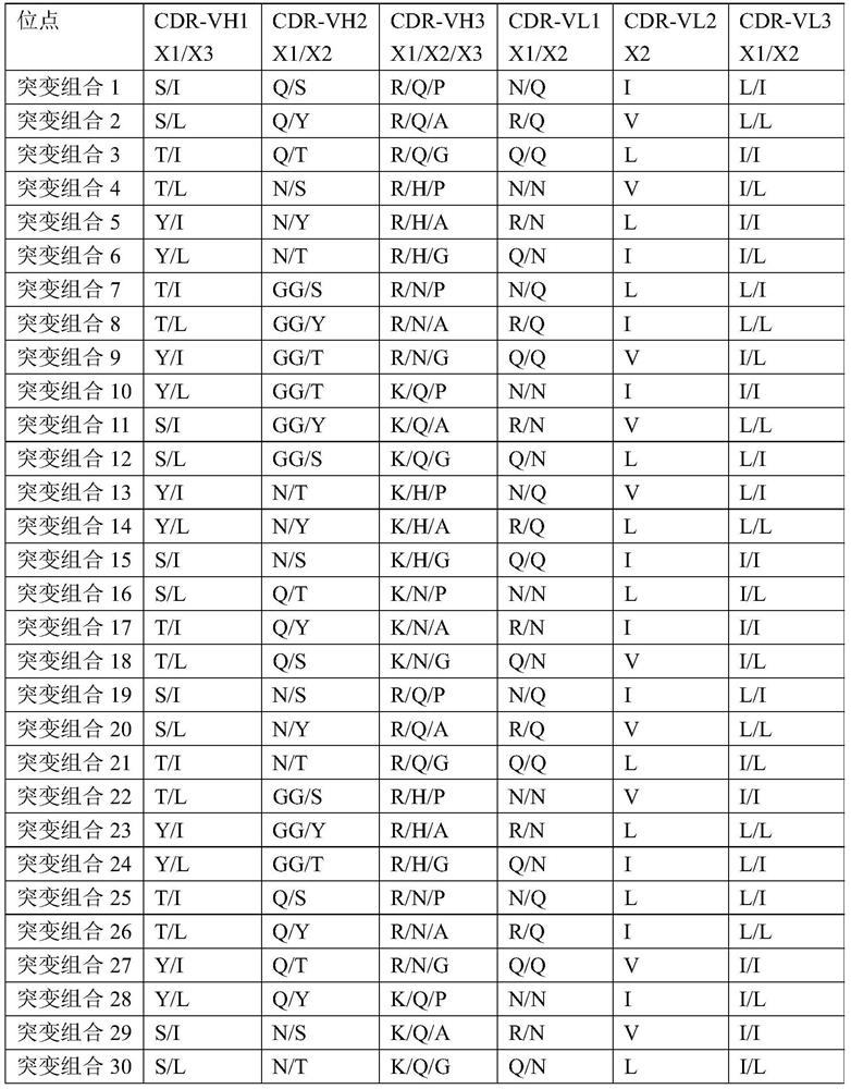 Anti-HIV-1 P24 recombinant antibody