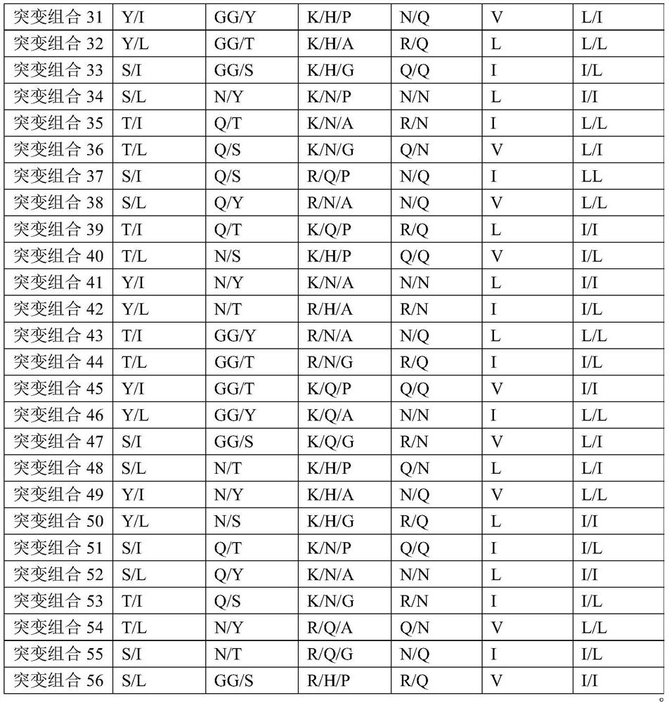 Anti-HIV-1 P24 recombinant antibody