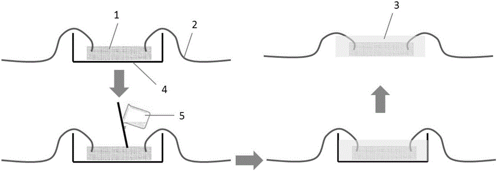 Flexible body temperature sensing material and preparation method therefor