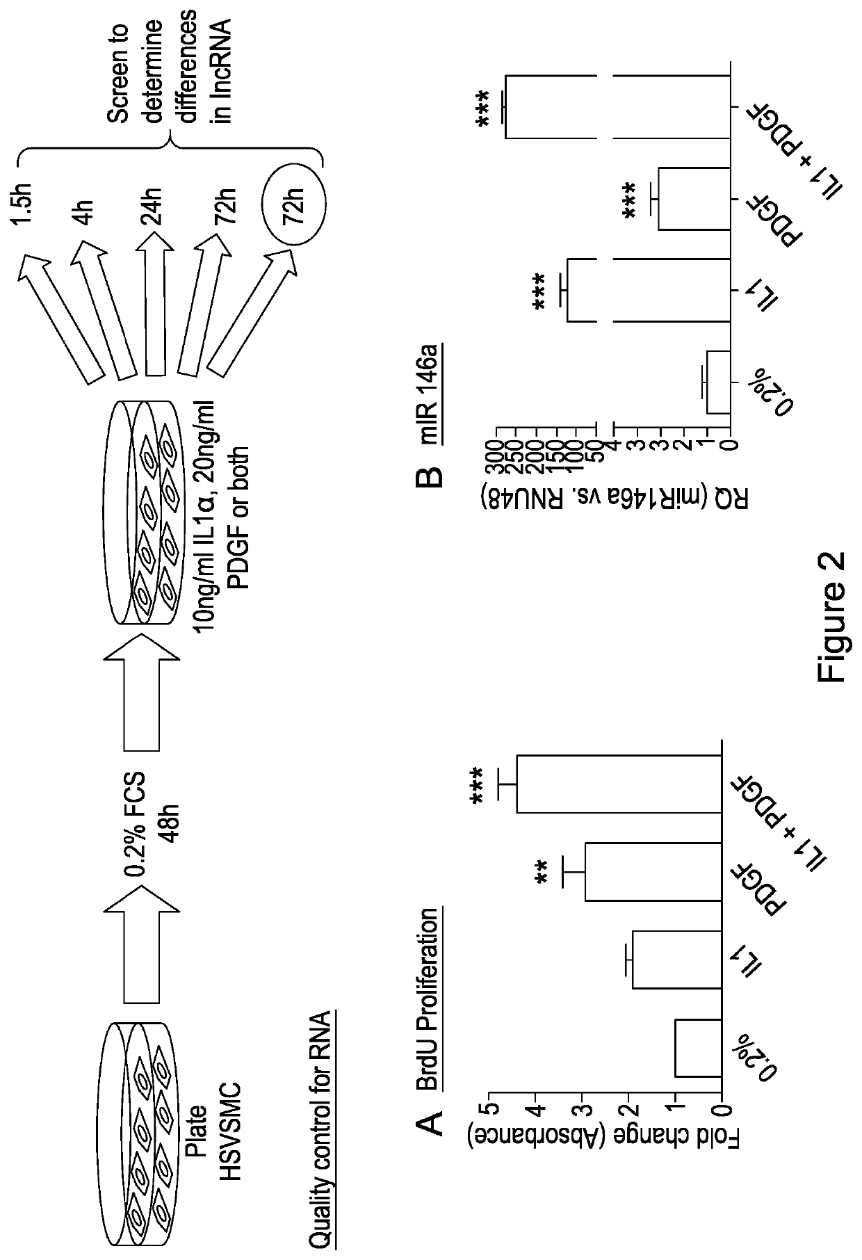 Materials and methods for the treatment of vascular disease