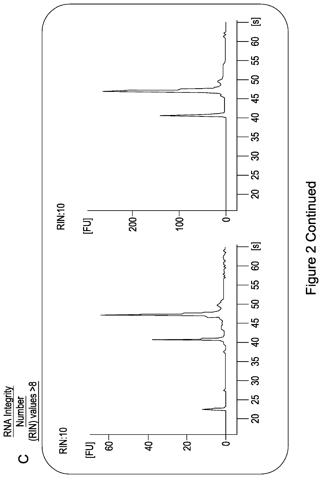 Materials and methods for the treatment of vascular disease