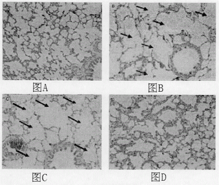 An electronic cigarette liquid reducing harm and preventing cancer and a preparation method therefor