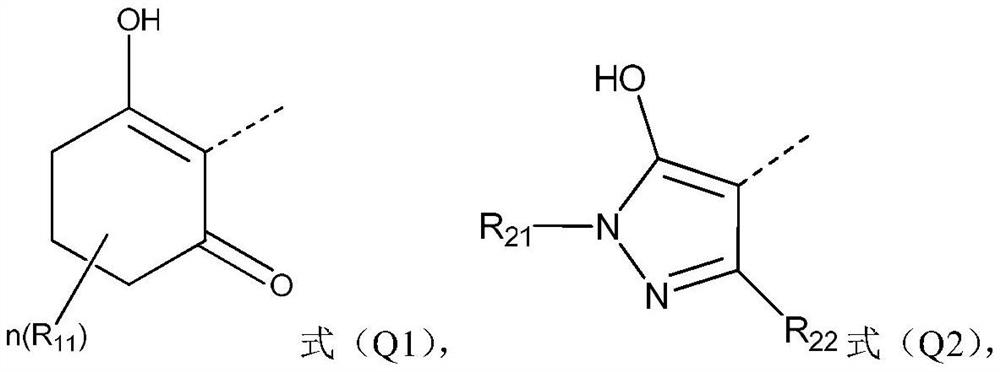 A compound containing a benzotriazinone structure, its preparation method and application, and a herbicide