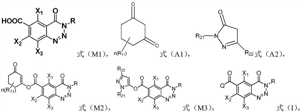 A compound containing a benzotriazinone structure, its preparation method and application, and a herbicide