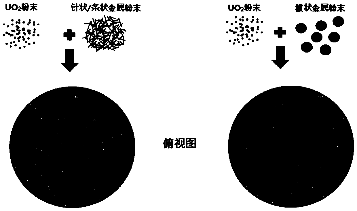 Nuclear fuel pellet having enhanced thermal conductivity and method for manufacturing the same