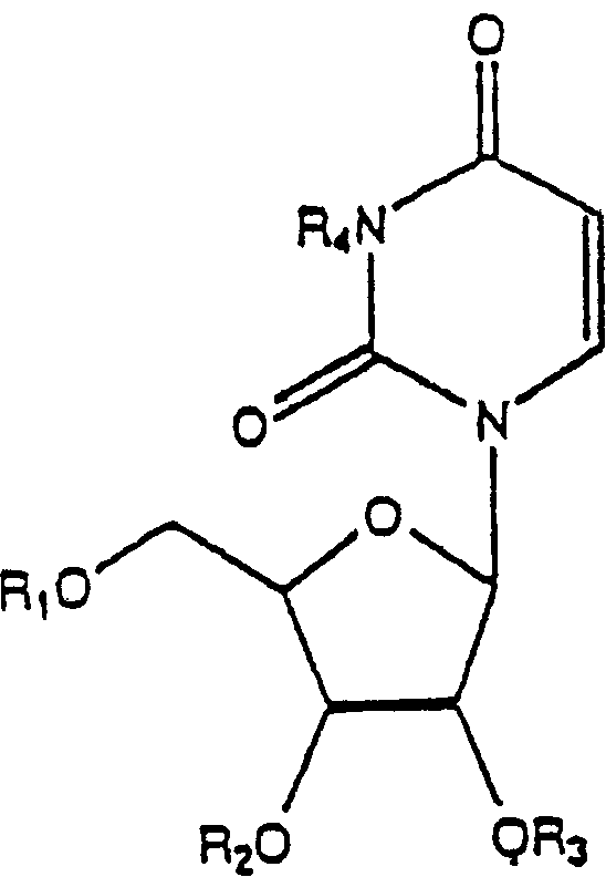 Application of uridine phosphorylase inhibitor and composition containing the same