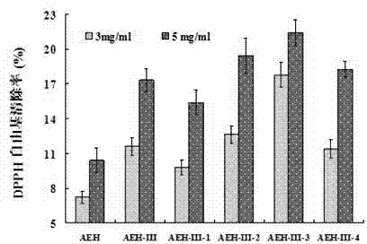 Sepia esculenta protein antioxidant peptide, and preparation method and use thereof