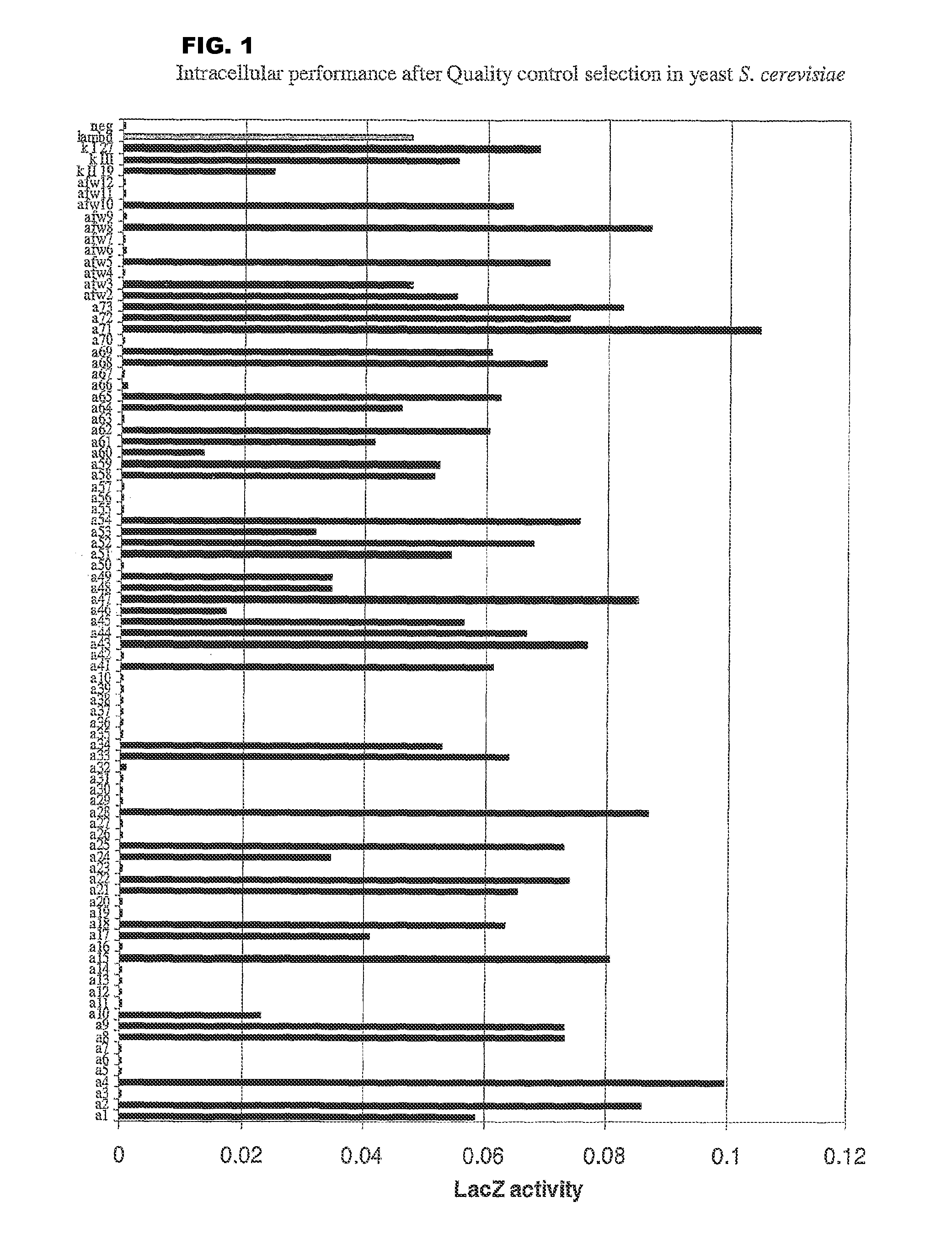 Immunoglobulin frameworks which demonstrate enhanced stability in the intracellular environment and methods of identifying same