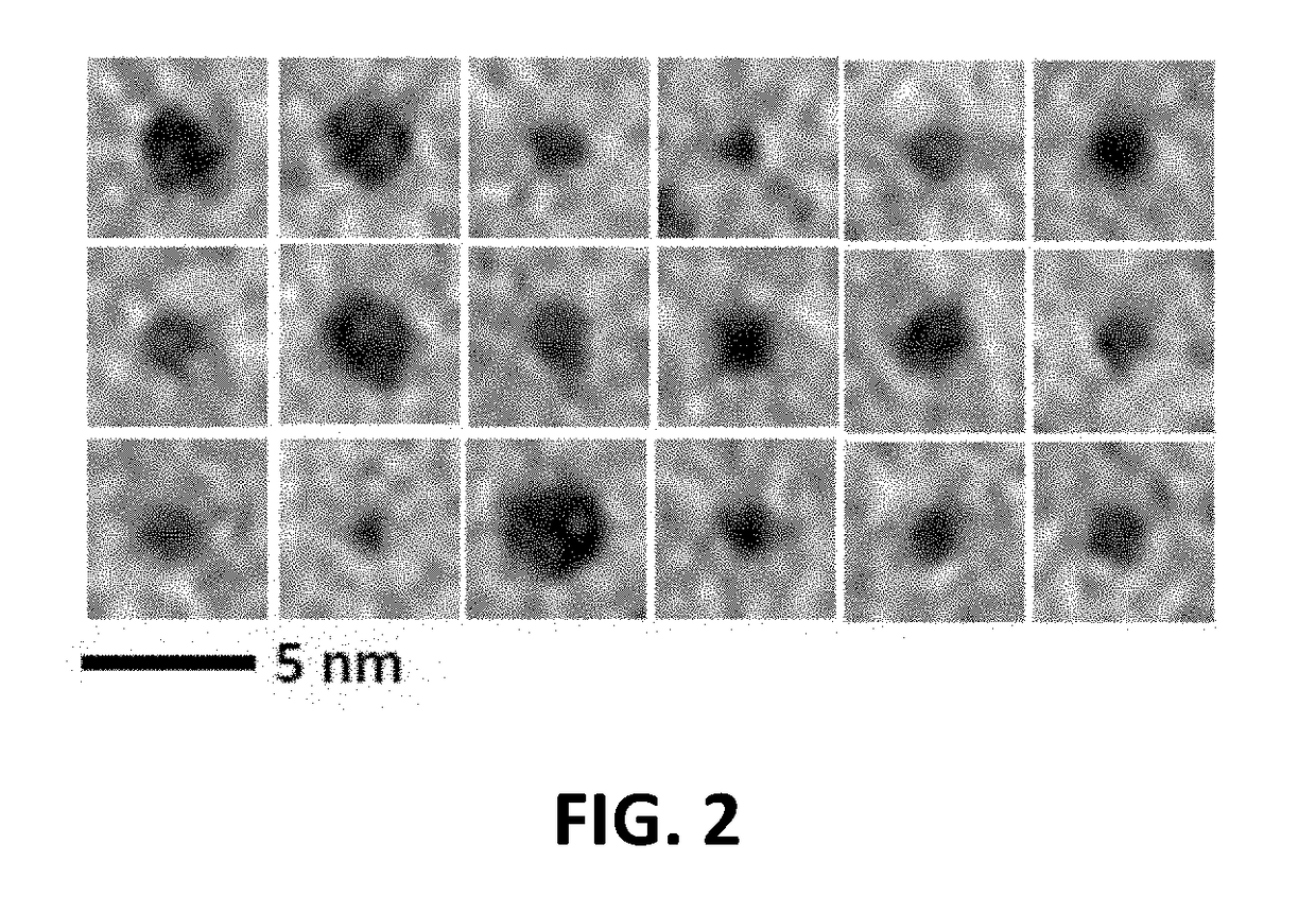 Process for forming a solution containing gold nanoclusters binding with ligands